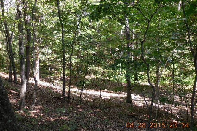 Cabin Ln And Shockeysville Rd, Winchester, VA 22603 | MLS ...