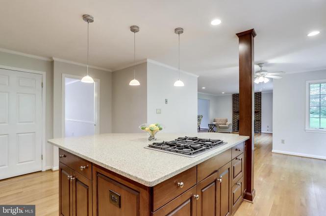 4655 Country Vale Ct, Annandale, VA 22003