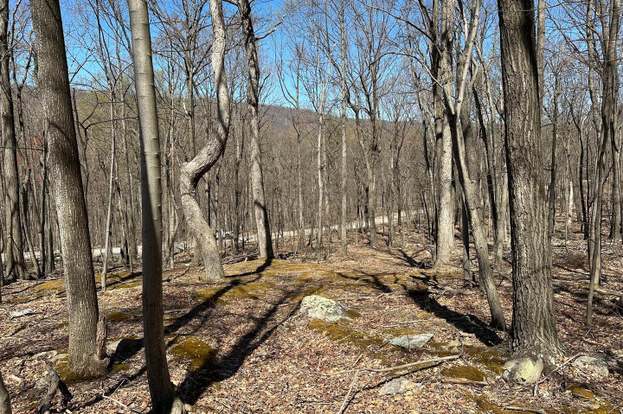 Paw Paw, WV Land for Sale -- Acerage, Cheap Land & Lots for Sale | Redfin