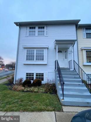towne animal hospital leesburg va