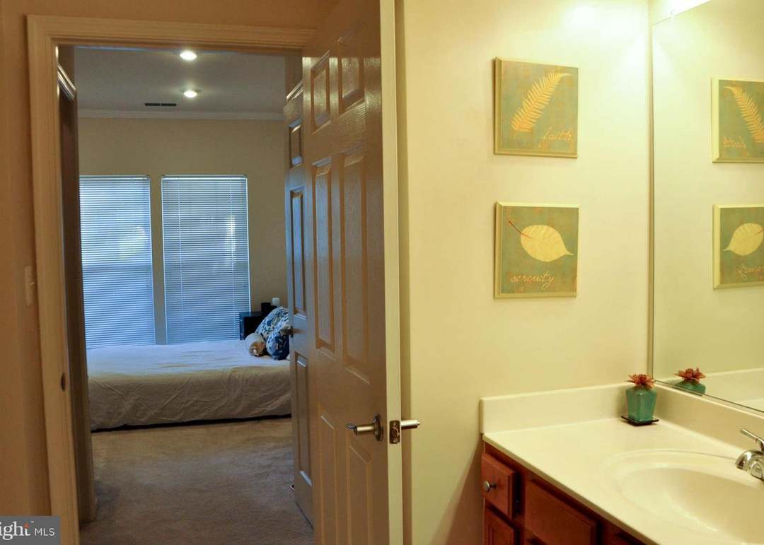 1520 North Point Dr #101, Reston, VA 20194