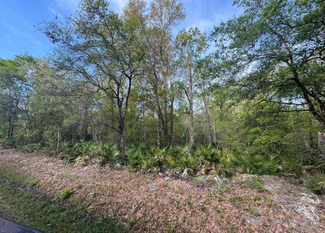 Property at 10155 Allison Ave, Hastings, FL 32145