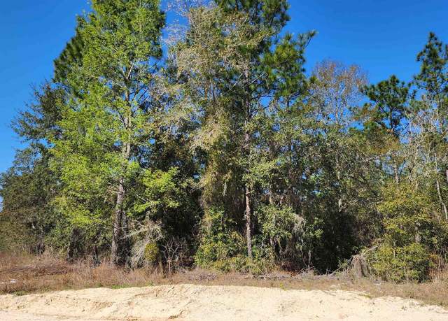 Property at Oak Crest Dr, Interlachen, FL 32148
