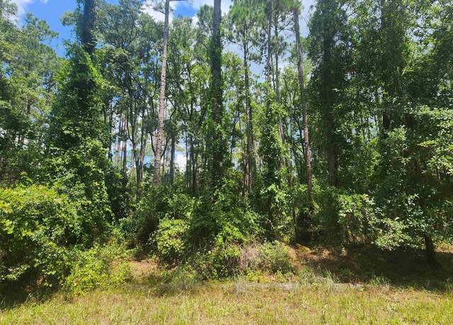 Property at 130 Helen Ave, Georgetown, FL 32139