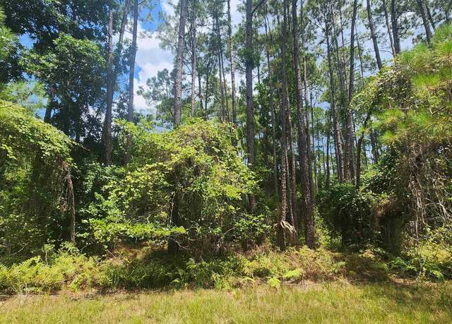 Property at 126 Helen Ave, Georgetown, FL 32139