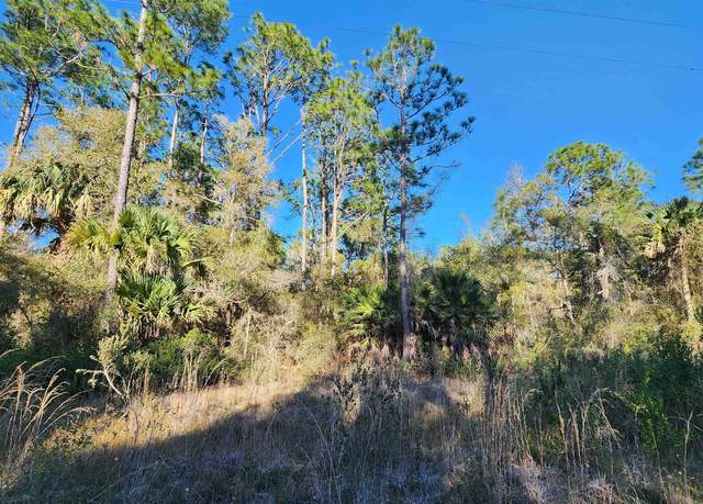 Property at 0 Longtree St, Georgetown, FL 32139