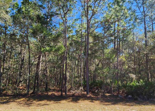 Property at Theresa Ave, Interlachen, FL 32148