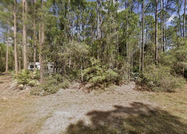 Property at 104 Helen Ave, Georgetown, FL 32139