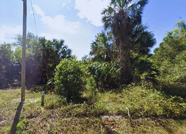 Property at 429 Birch Blvd, Georgetown, FL 32139