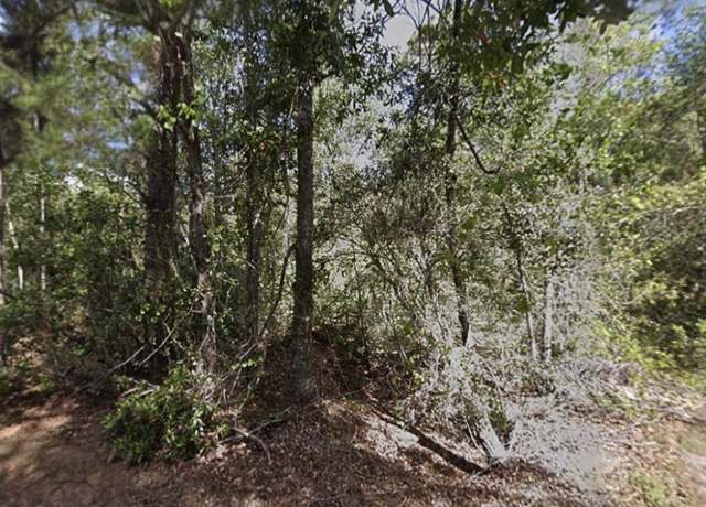 Property at 116 Terri Ave, Georgetown, FL 32139