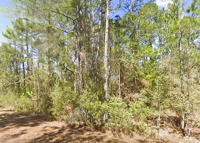 Property at 306 Carteret Rd, Georgetown, FL 32139