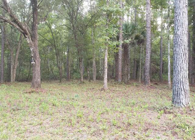Property at 4785 Catherine St, Hastings, FL 32145