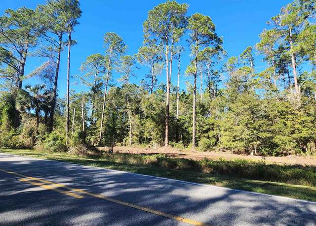 Property at TBD Georgetown Denver Rd, Georgetown, FL 32139