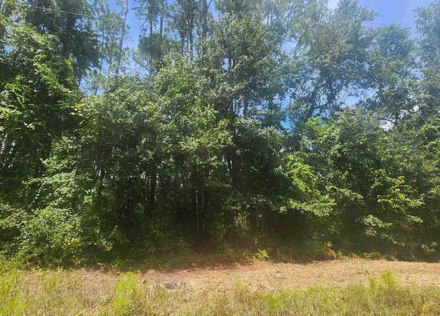 Property at 112 2nd St, Georgetown, FL 32139
