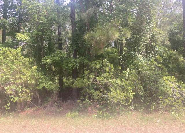 Property at 230 Palm Way, Georgetown, FL 32112