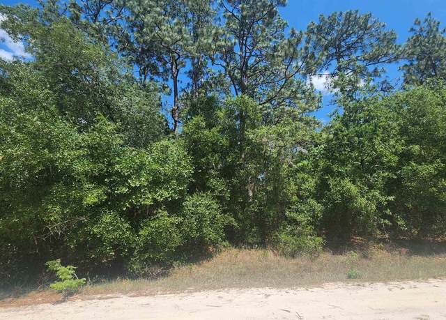 Property at 218 Summit Rd, Satsuma, FL 32189