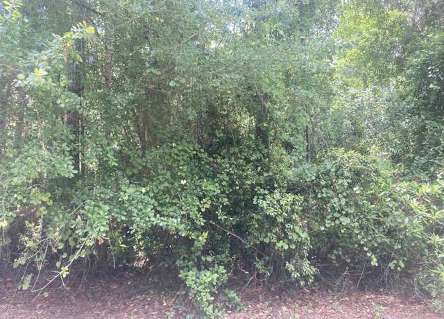 Property at 327 Palm Way, Georgetown, FL 32139