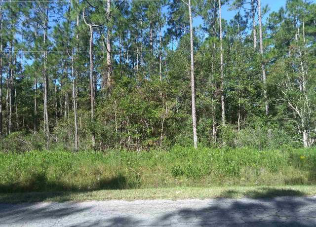 Property at 10635 Crotty Ave, Hastings, FL 32145-0000