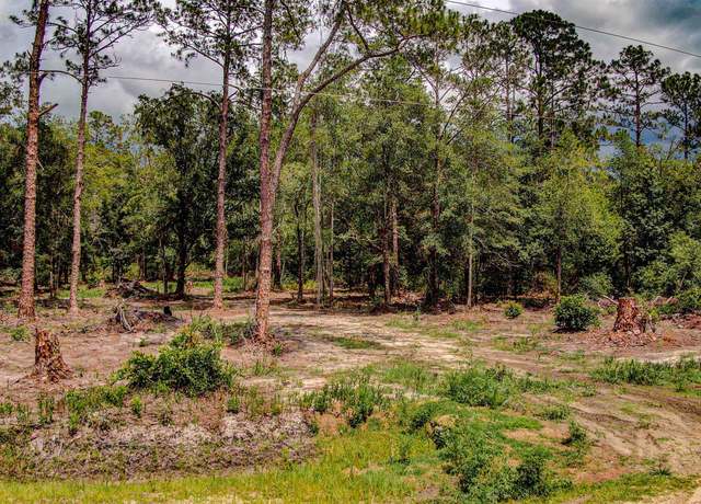 Property at 10150 Delgado Ave, Hastings, FL 32145