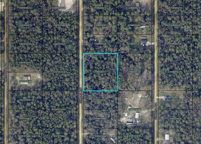 Property at 10050 Gregory Ave, Hastings, FL 32145