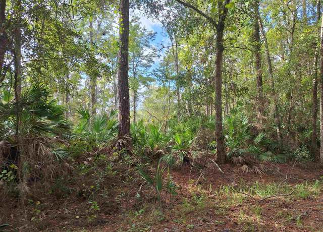Property at 201 Pineway West Ave, Satsuma, FL 32189