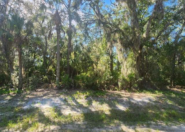 Property at 133 Lakeway Dr, Georgetown, FL 32139