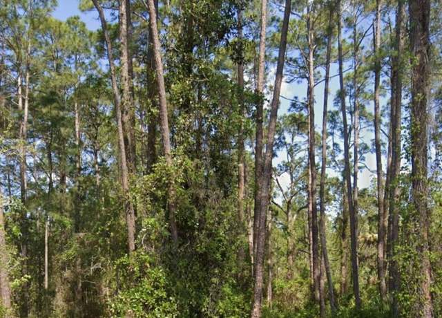 Property at 304 Rosewood St, Georgetown, FL 32139