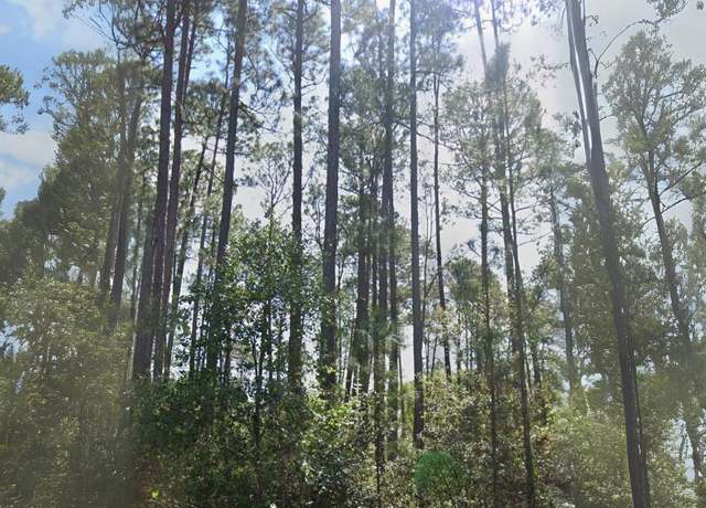 Property at 127 1st St, Georgetown, FL 32139