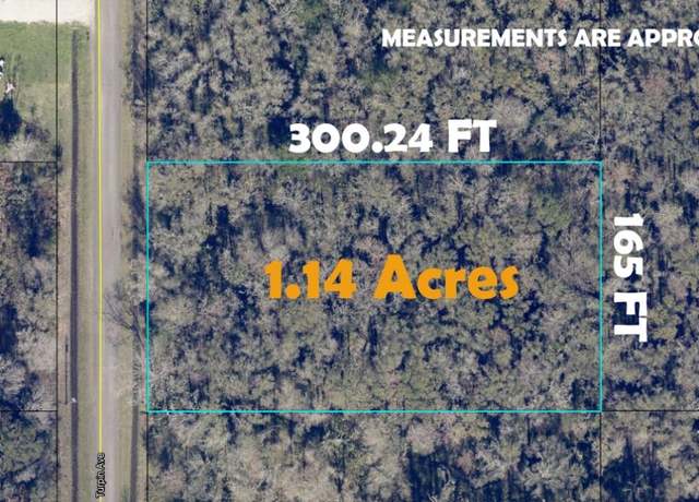 Property at 10690 Turpin Ave, Hastings, FL 32145
