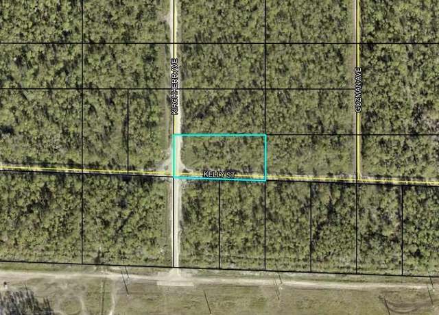 Property at 0000 Kirchherr Ave, Hastings, FL 32145-0000