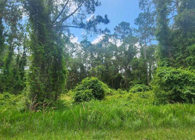 Property at 123 2nd St, Georgetown, FL 32139