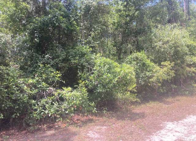 Property at 430 Palm Way, Georgetown, FL 32139