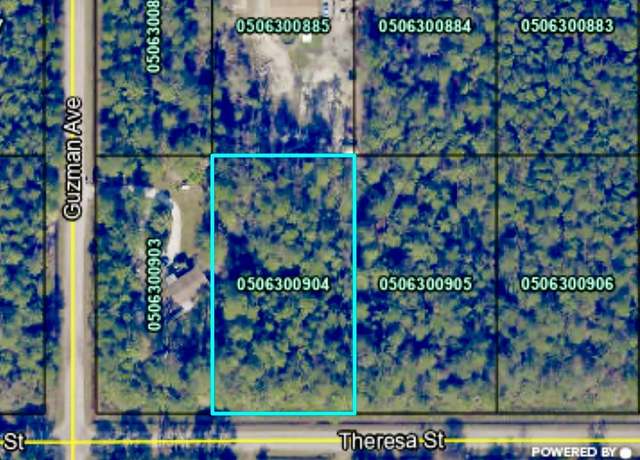 Property at 4260 Theresa St, Hastings, FL 32145