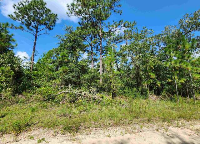 Property at 137 Marion St, Florahome, FL 32140