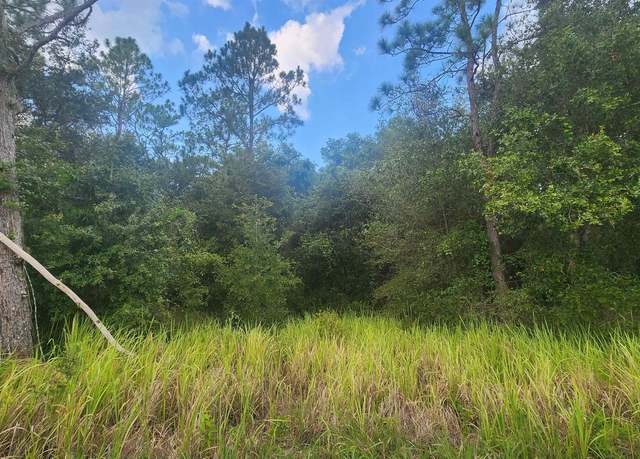 Property at 129 Lake View Dr, Pomona Park, FL 32181