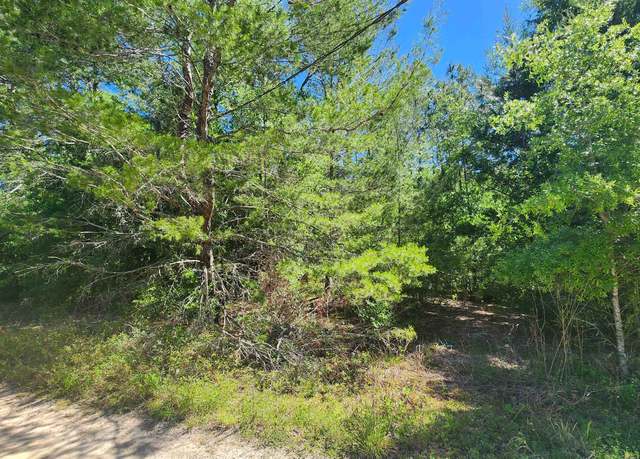 Property at 0 Jernigan St, Interlachen, FL 32148