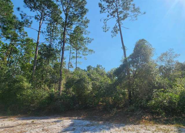 Property at S Georgetown Point Rd, Georgetown, FL 32139
