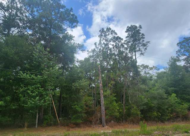 Property at 415 Pheasant Rd, Satsuma, FL 32189