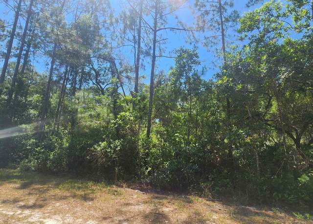 Property at 329 Palm Way, Georgetown, FL 32139