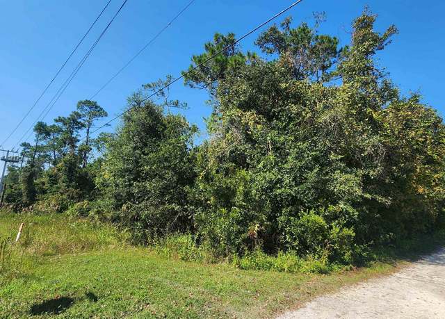 Property at Hwy 17, Crescent City, FL 32112