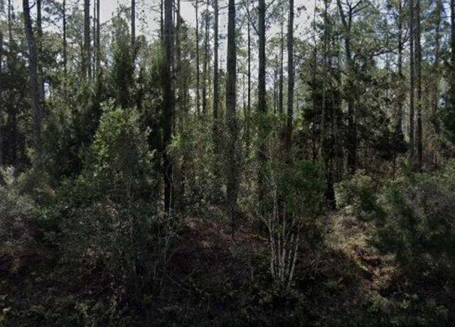 Property at 4345 Vicki St, Hastings, FL 32145