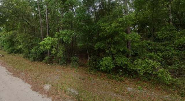 Photo of 115 Leisurely Ave, San Mateo, FL 32189