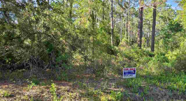 Photo of 10245 Erickson Ave, Hastings, FL 32145