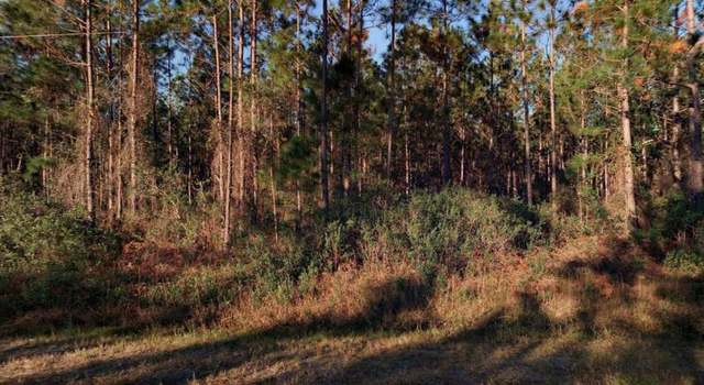 Photo of 10245 Erickson Ave, Hastings, FL 32145