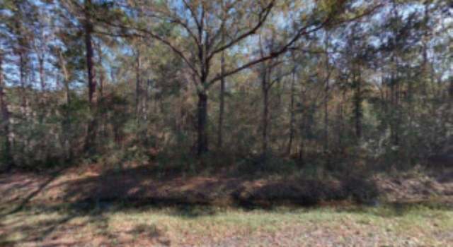 Photo of 10010 Mcmahon Ave, Hastings, FL 32145