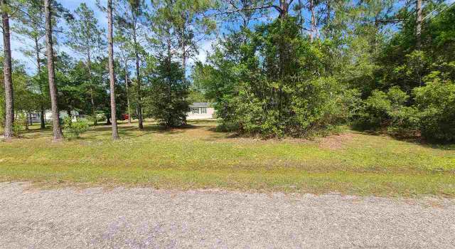Photo of 10700 Baylor Ave, Hastings, FL 32145