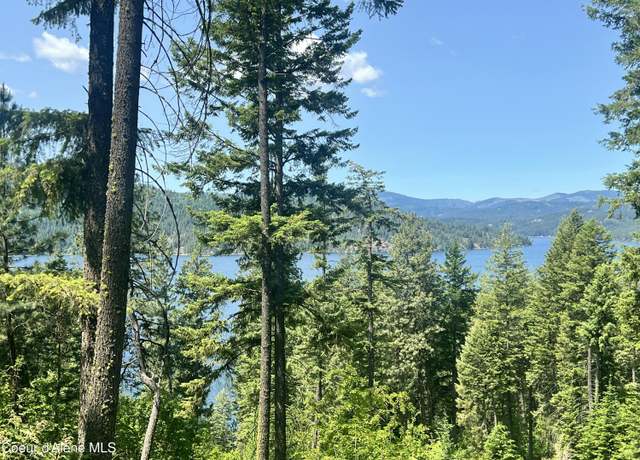 Property at NKA E Driftwood Heights Dr, Harrison, ID 83833