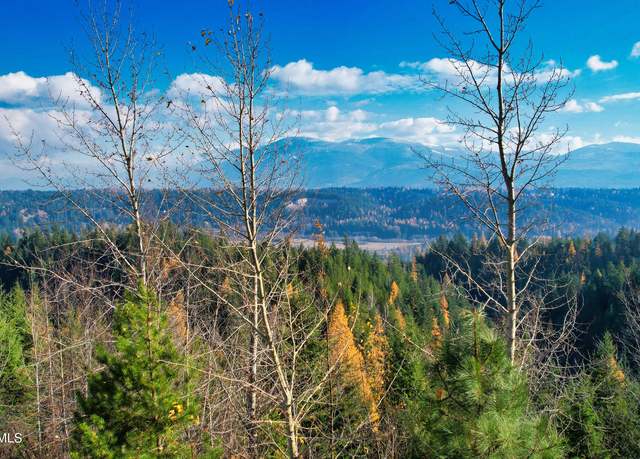 Property at NNA 25 Acres Otter Ln, Naples, ID 83847