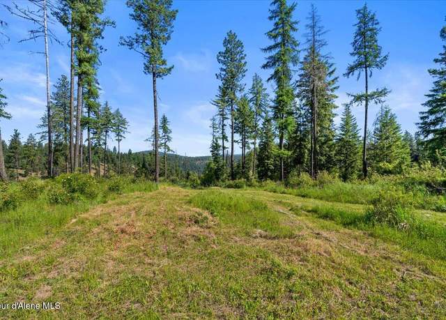 Property at NKA-40 AC W Conkling Rd, Worley, ID 83876