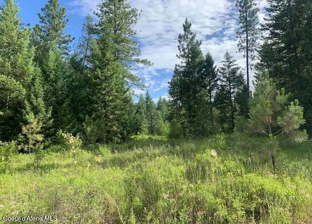 Property at NKA Northern Sky Rd. Lot 1, Athol, ID 83801